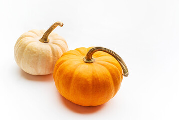 small decorative pumpkins on the white background