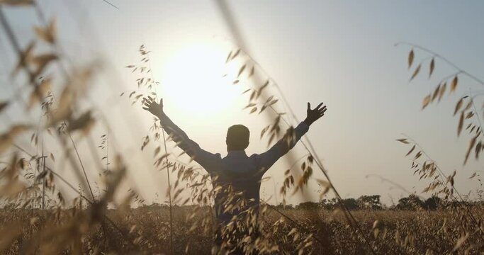 A man stands in a wheat field at sunset and raises his hands up, a man greets the sun, the source of energy on the planet. To ask and call for a good harvest.
