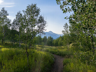 Trail on the Alpine Loop