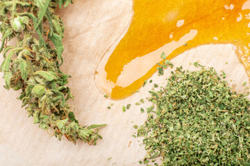 piace golden dab concentrate of cannabis wax close up on yellow background, marijuana green buds and  resin.