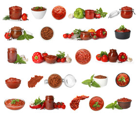 Set with adjika sauce and ingredients on white background