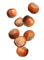 Tasty hazelnuts falling on white background. Healthy snack