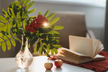 autumn still life with a rowan branch in a vase, book and apples in a cozy home interior