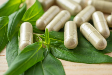 Herbal medicine capsules with Andrographis paniculata leaf on wood table