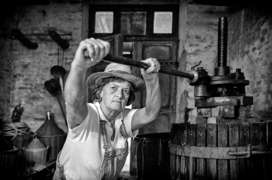 Grape harvest: Old woman winemaker  working on a traditional winepress for the must pressing. Black and white picture