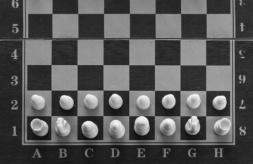 Top view of white pieces on chessboard in black and white. Chess game, strategy, intelligence concepts