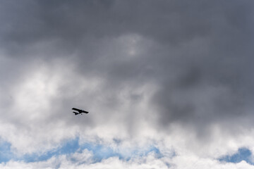 A single-engine plane flies up to a thundercloud