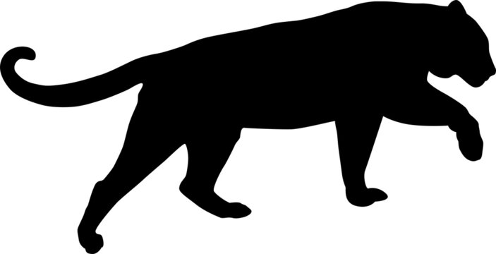 Simple tiger vector silhouette design. Black silhouette of a jumping tiger isolated on a white background.