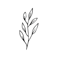 Branch with leaves in doodle style on an isolated white background. Botanical simple illustration. Stock vector illustration.