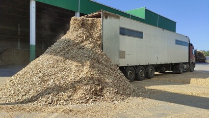 Truck unloads wood chips into a warehouse.