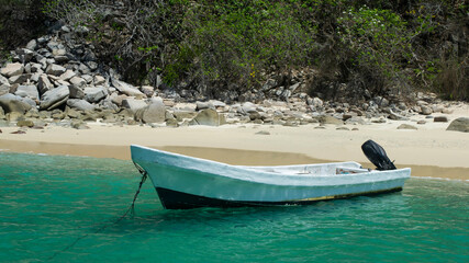 Fototapeta na wymiar Boat in the shore