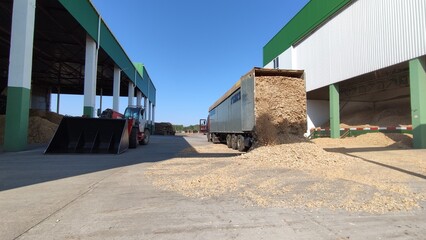 Truck unloads wood chips into a warehouse.