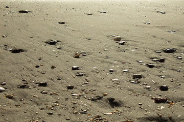 Small stones on wet sand