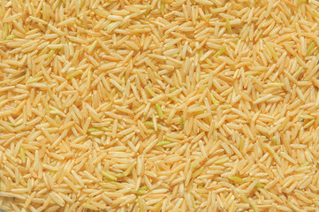 Organic rice ready for a delicious meal - shot from above