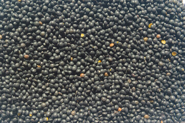 Black lentils  photographed from above, a high-protein, healthy and tasty legume