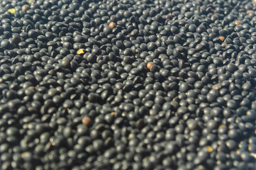 Black lentils  photographed from above, a high-protein, healthy and tasty legume