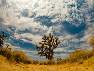 Obraz premium C:\DCIM\100GOPRO\G0017816.GPR