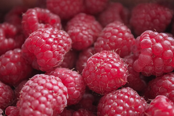 Close-up of large ripe bright red raspberries background. Copy space