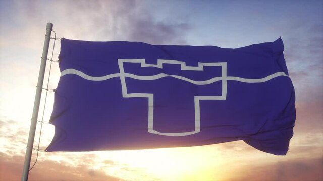 Tyne and Wear flag, England, waving in the wind, sky and sun background