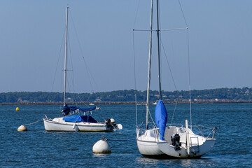 Obraz premium Voiliers sur le bassin d'Arcachon