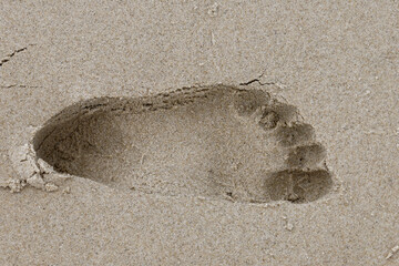 Empreinte de pied nu dans le sable