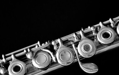 Obraz premium detail of the flute up close in black and white