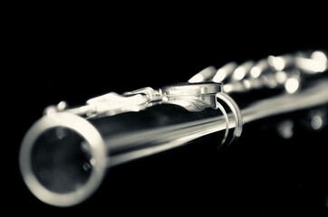 detail of the flute up close in black and white