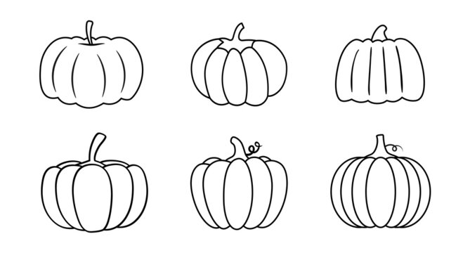Set of pumpkins in various shapes. Vector outline illustration. Collection of cute hand drawn pumpkins on white background. Elements for autumn decorative design, harvest