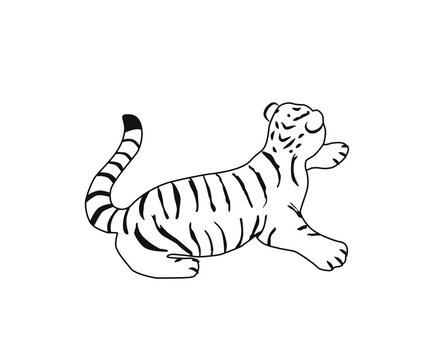 Hand drawing tiger illustration vector.