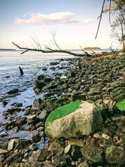 Mossy Rocks on The Coast