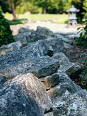 rocks in the forest