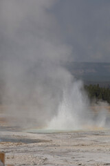 geyser in park national park