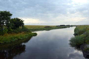 Fototapeta na wymiar Feuchtgebiet in Nordfriesland im Sommer