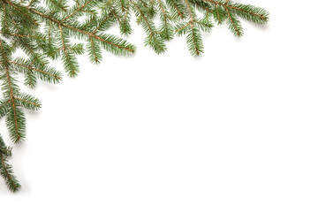 Fir branches on a white background. Christmas frames or borders with fir tree