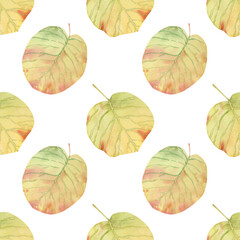 Seamless fall leaves pattern. Watercolor floral background with autumn birch leaves in yellow, orange, green, red colors for textile, wallpapers