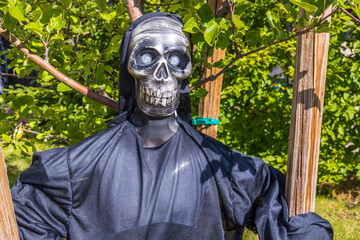 Close up view of Halloween decorated skeleton on green trees background. 