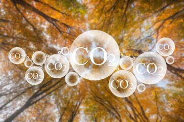 Tree canopy against a sky background with oxygen O2 and carbon dioxide CO2 molecules, release...