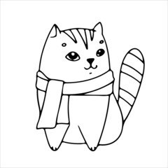 Kitten in a sweater in doodle or boho style. Simple sketched line art. Winter vector illustration isolated on white background.