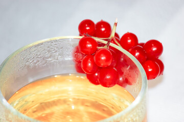 viburnum berries and a mug of tea