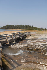 Fototapeta premium wooden bridge in the river