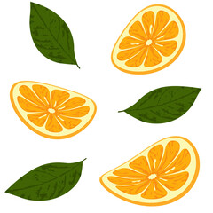 Fresh sliced orange with green leaves isolated on white background