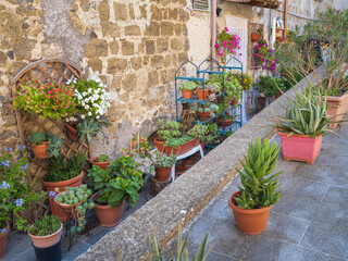 Fototapeta na wymiar two rows of flowers in vases on the street in italian city Marta