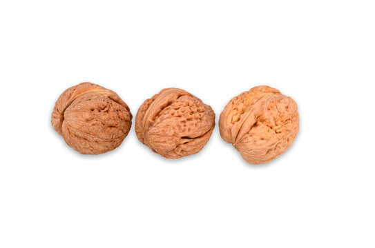 Orzechy włoskie w skorupkach. Large walnuts. Orzechy na białym tle. Nuts on a white background.