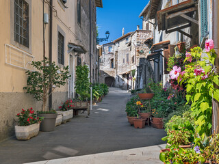 street in medieval city in Italy with a lot of flowers