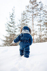Fototapeta na wymiar Child walking in snowy spruce forest. Little kid boy having fun outdoors in winter nature. Christmas holiday. Cute toddler boy in blue overalls and knitted scarf and cap playing in park.