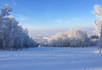 Siberian Winter 
