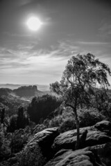 Elbsandsteingebirge Sächsische Schweiz Malerweg Schrammstein