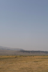 Obraz premium landscape in the desert