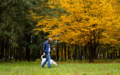Retriever and and owner man are running in park. Golden leaves on trees. Fabulous autumn. Best friend forever concept
