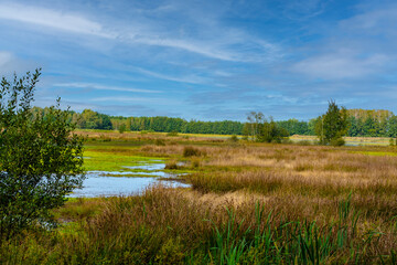 Beautiful dutch landscape with little lakes in the summer. Maasduinen - a picturesque place in Noord Limburg, Netherlands